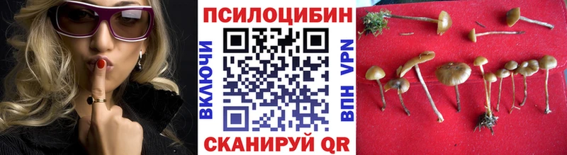 Галлюциногенные грибы мухоморы blacksprut сайт Нелидово